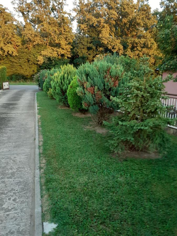 Maja Apartamento Velika Gorica Exterior foto